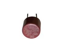 MICRO FUSIVEL 0,2A/250V